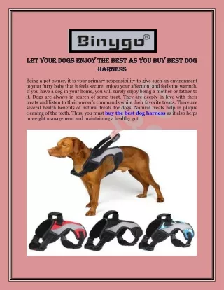 Let Your Dogs Enjoy the Best As You Buy Best Dog Harness