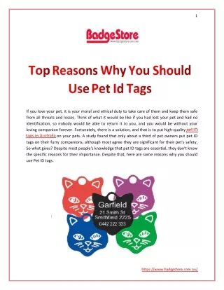 Top Reasons Why You Should Use Pet Id Tags