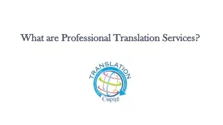 What are Professional Translation Services