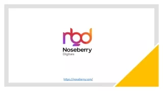 Web Development Services - Noseberry Digitals