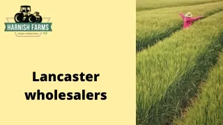 Lancaster wholesalers