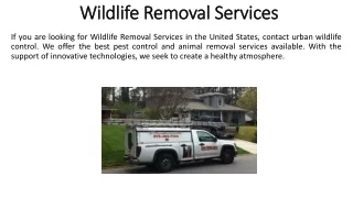Best Wildlife Removal Services