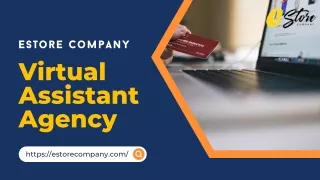 Virtual Assistant Agency - Estore Company