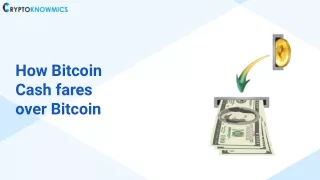 How Bitcoin Cash fares over Bitcoin