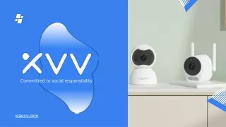 Wireless Cameras-Xiaovv Camera