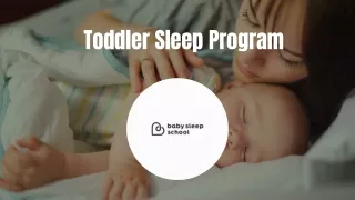 toddler sleep program