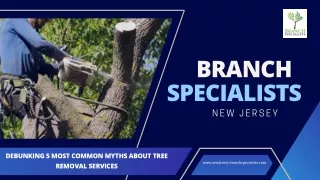 Debunking 5 Most Common Myths About Tree Removal Services - Branch Specialists New Jersey