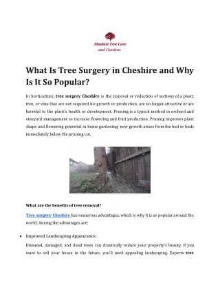 What Is Tree Surgery in Cheshire and Why Is It So Popular?
