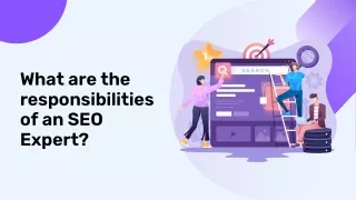 What are the responsibilities of an SEO expert