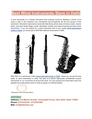 best wind instruments store in delhi