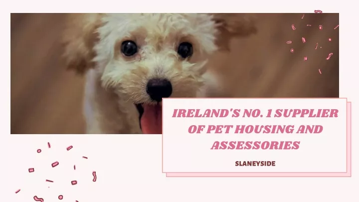ireland s no 1 supplier of pet housing