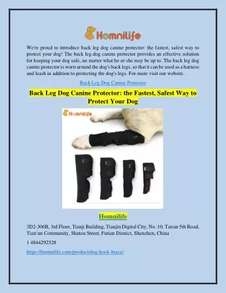 Back Leg Dog Canine Protector: the Fastest, Safest Way to Protect Your Dog