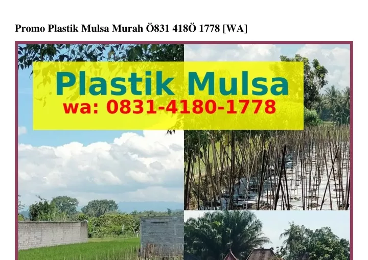 promo plastik mulsa murah 831 418 1778 wa