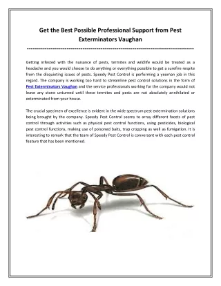 Get the best possible professional support from Pest Exterminators Vaughan