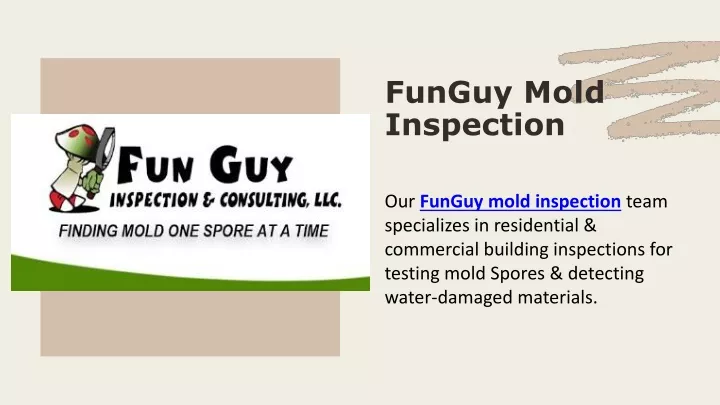 funguy mold inspection