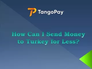 How Can I Send Money to Turkey for Less?