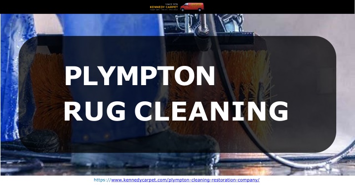 plympton rug cleaning