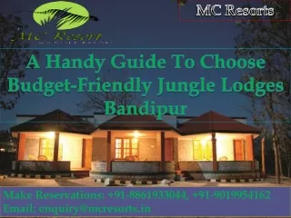 A Handy Guide To Choose Budget-Friendly Jungle Lodges Bandipur
