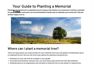Your Guide to Planting a Memorial Tree