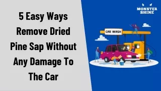 5 Easy Ways Remove Dried Pine Sap Without Any Damage To The Car