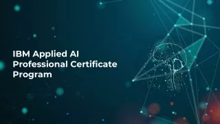 IBM Artificial Intelligence Professional Certificate Program
