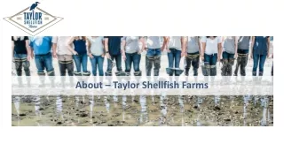 About – Taylor Shellfish Farms