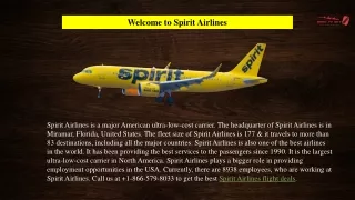 Spirit Airlines Flight Tickets & Deals