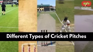 Different Types of Cricket Pitches