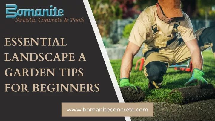 essential landscape a garden tips for beginners