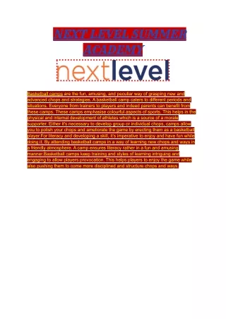 next level summer academy
