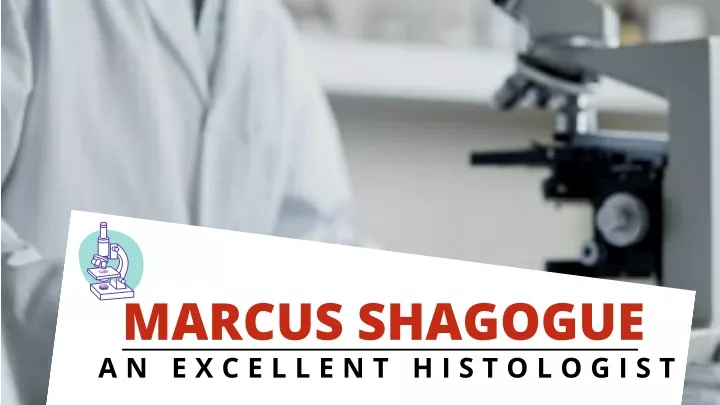 marcus shagogue