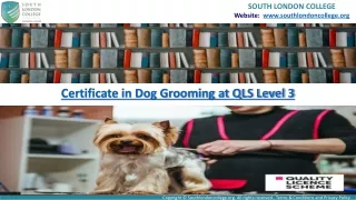 Level 3 Certificate in Dog Grooming at SouthLondonCollege
