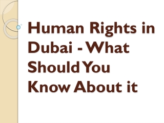 Human Rights in Dubai - What Should You Know About it