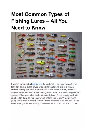 Most Common Types of Fishing Lures – All You Need to Know