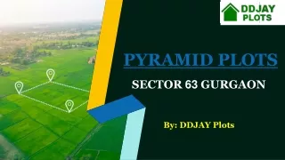 pyramid plots