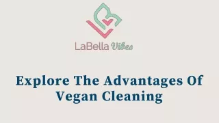 Explore The Advantages Of Vegan Cleaning