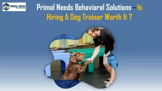 Is Hiring A Dog Trainer Worth It - Primal Needs
