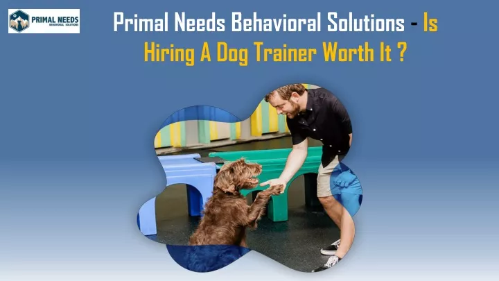 primal needs behavioral solutions is hiring