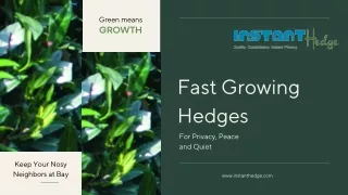 green means growth