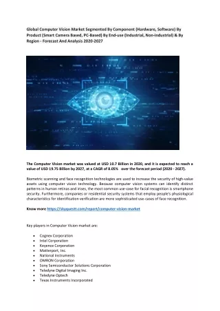 global computer vision market segmented