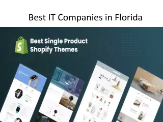 Best IT Companies in Florida