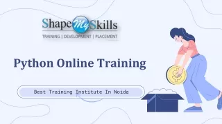 python online training