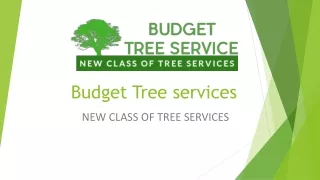 Get Tree Service Companies near me in California.