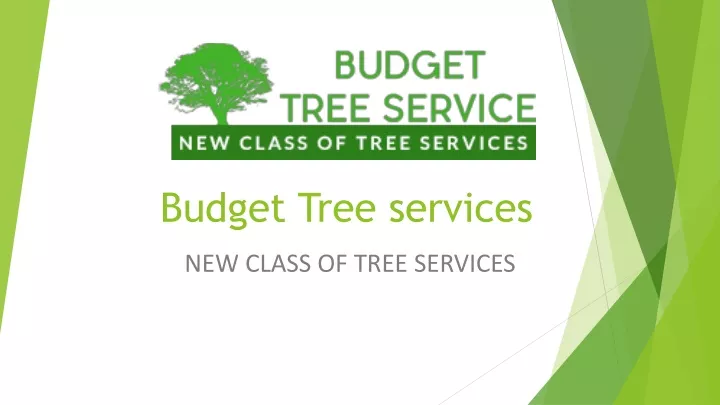 budget tree services