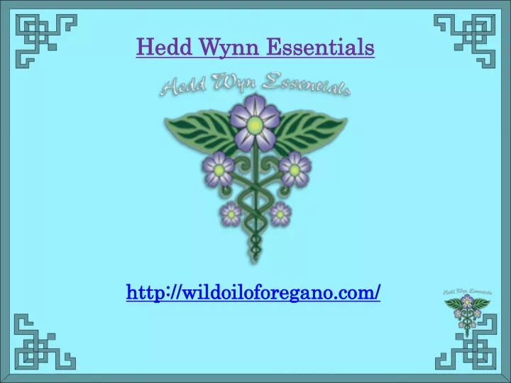 hedd wynn essentials