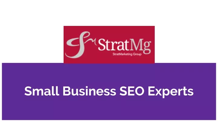 small business seo experts