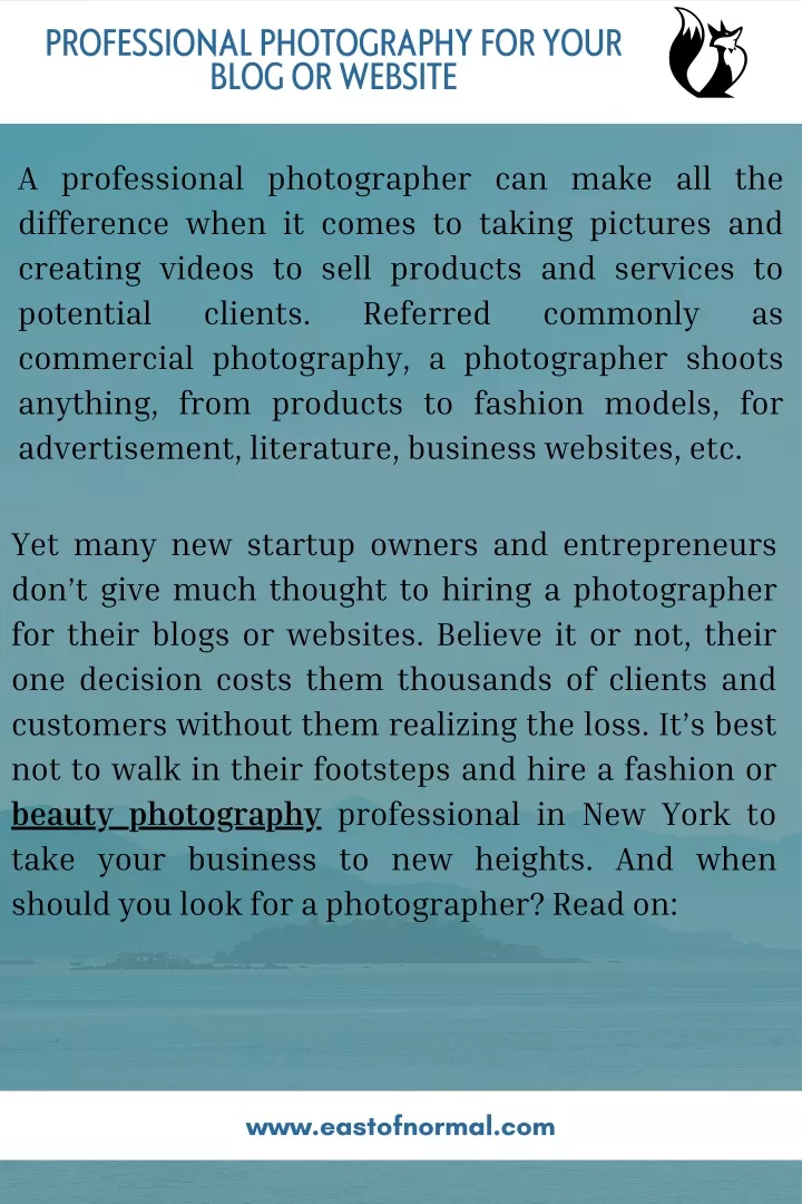 professional photography for your blog or website