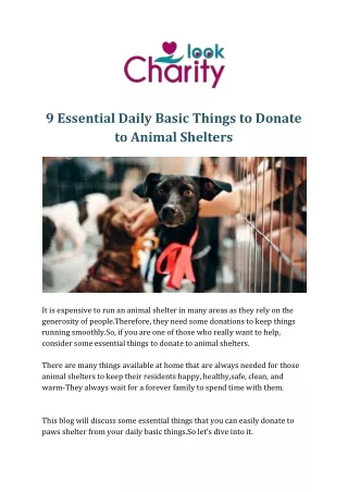 9 Essential Daily Basic Things to Donate to Animal Shelters
