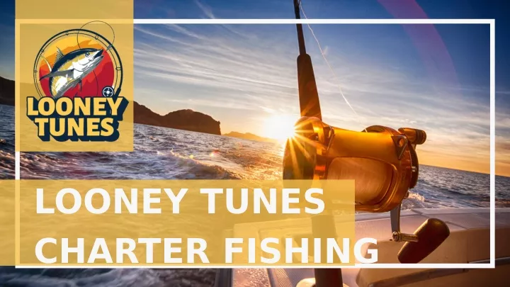 looney tunes charter fishing