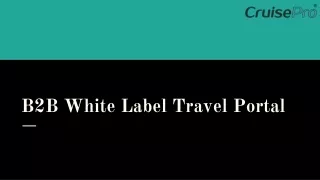 b2b white label travel portal